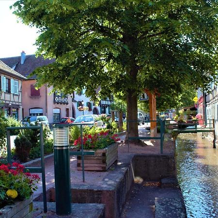 Appartamento La Halte Des Vignes - Route Des Vins D'Alsace Scherwiller Esterno foto