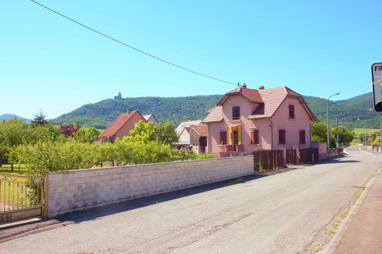 Appartamento La Halte Des Vignes - Route Des Vins D'Alsace Scherwiller Esterno foto