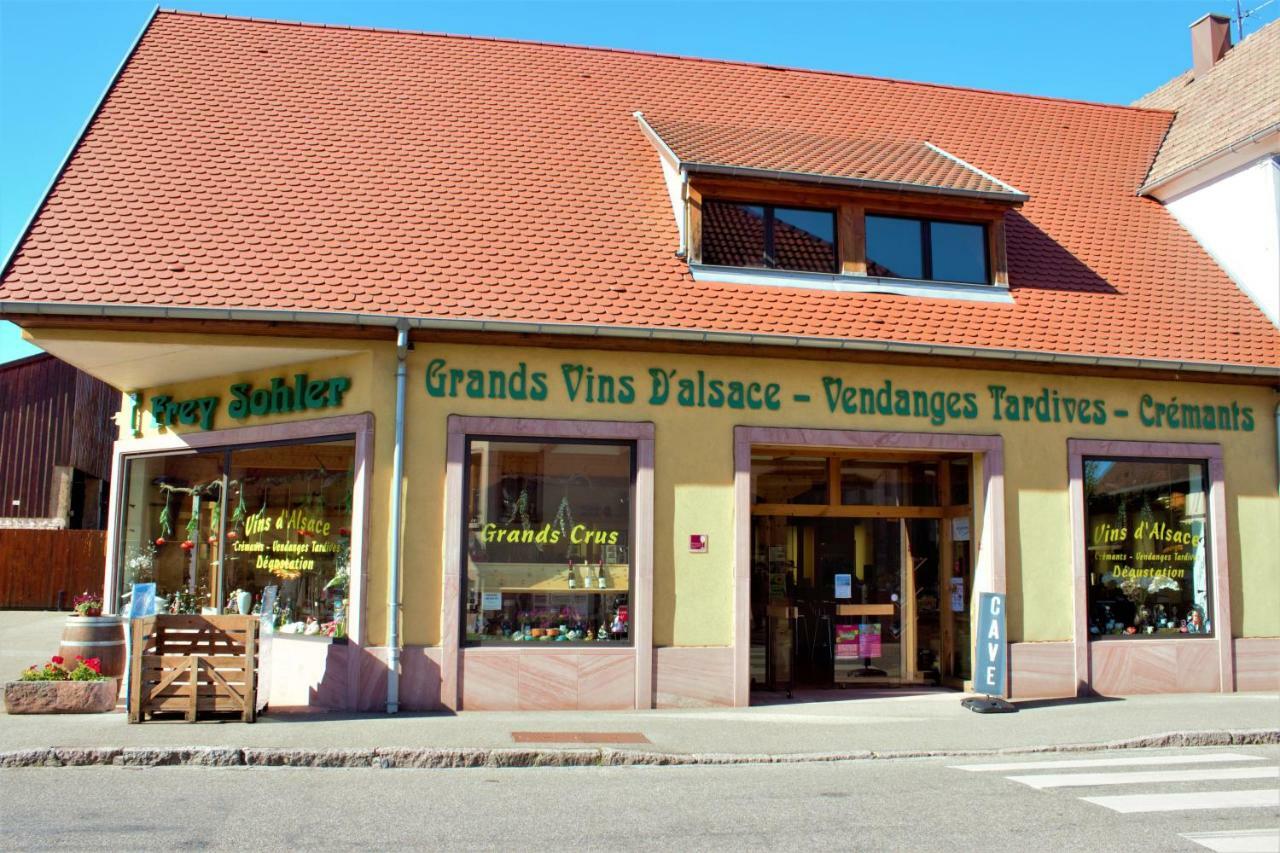Appartamento La Halte Des Vignes - Route Des Vins D'Alsace Scherwiller Esterno foto