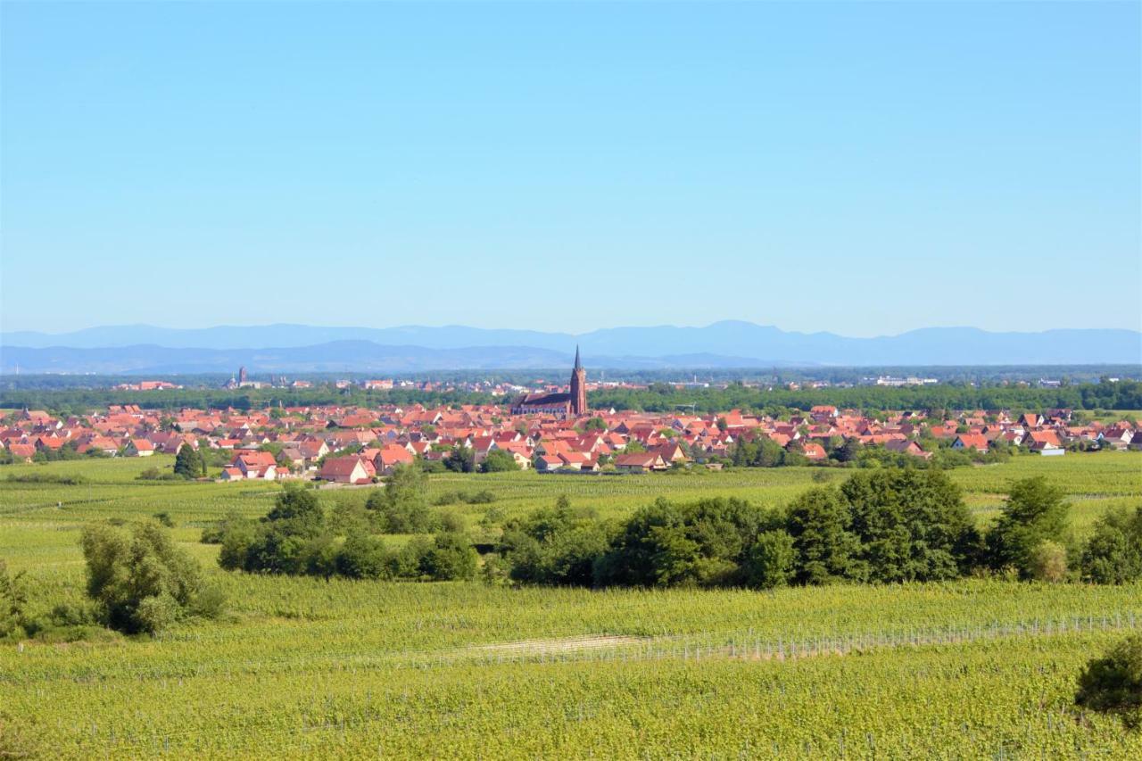 Appartamento La Halte Des Vignes - Route Des Vins D'Alsace Scherwiller Esterno foto
